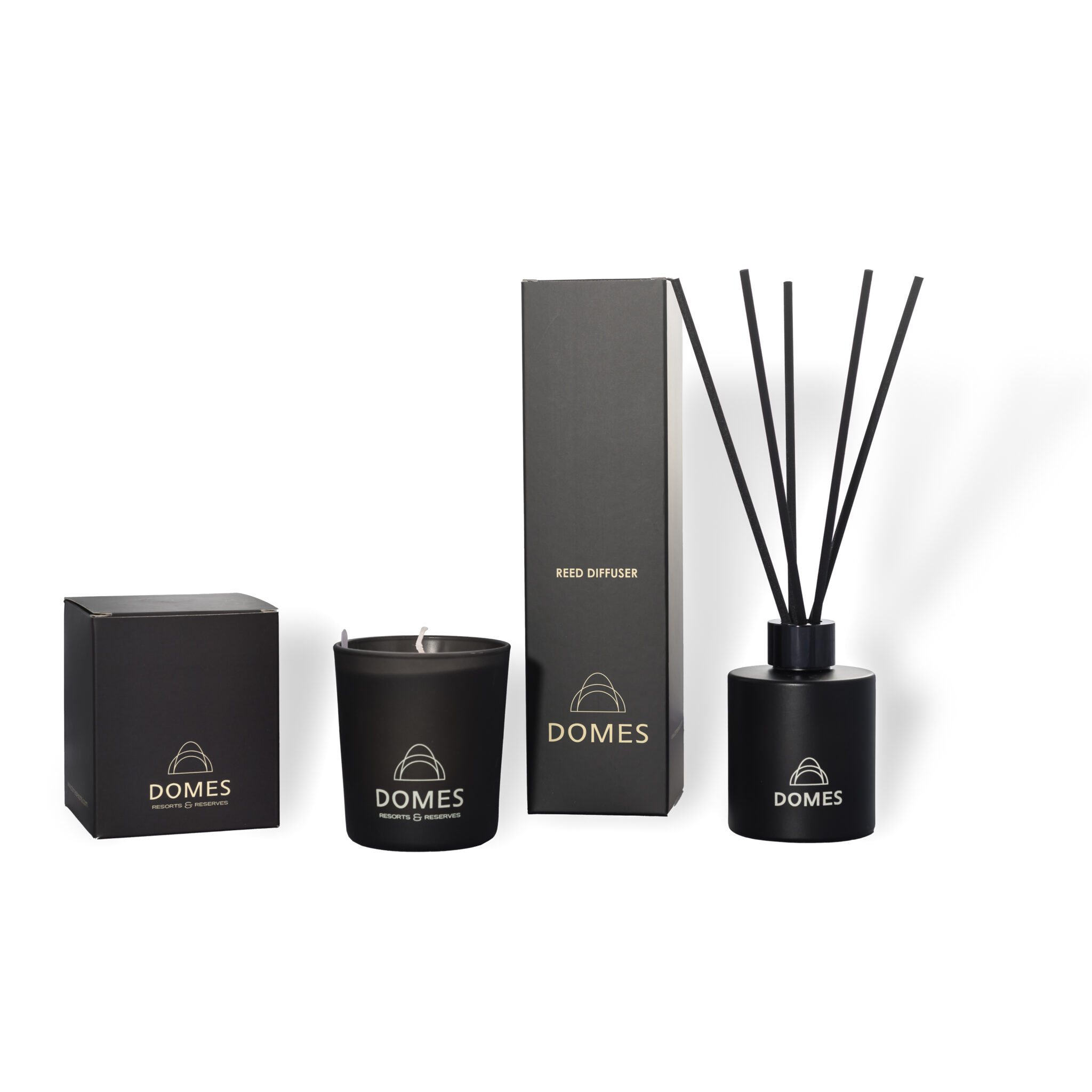 scentlinq_231006-1018