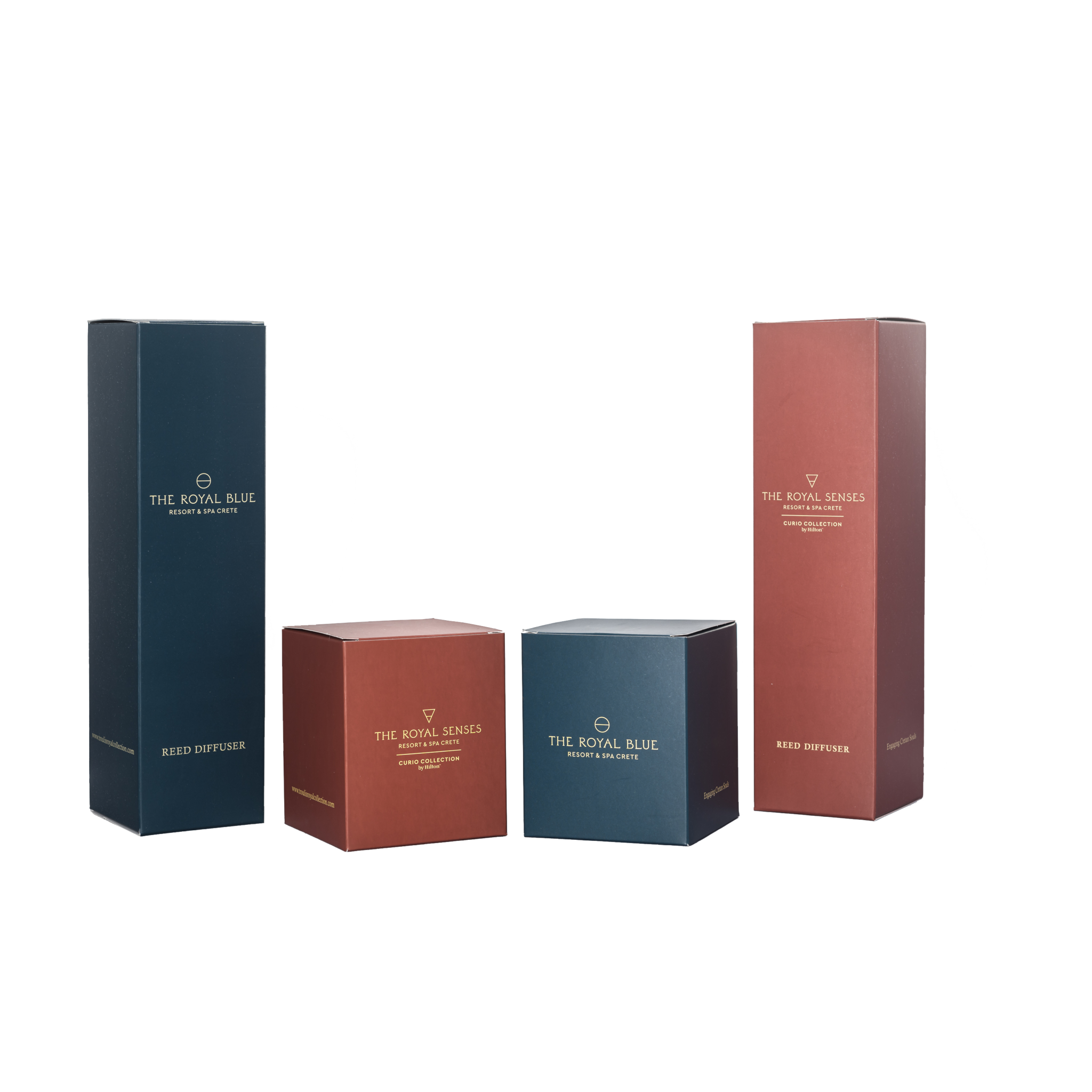 scentlinq_231006-1019