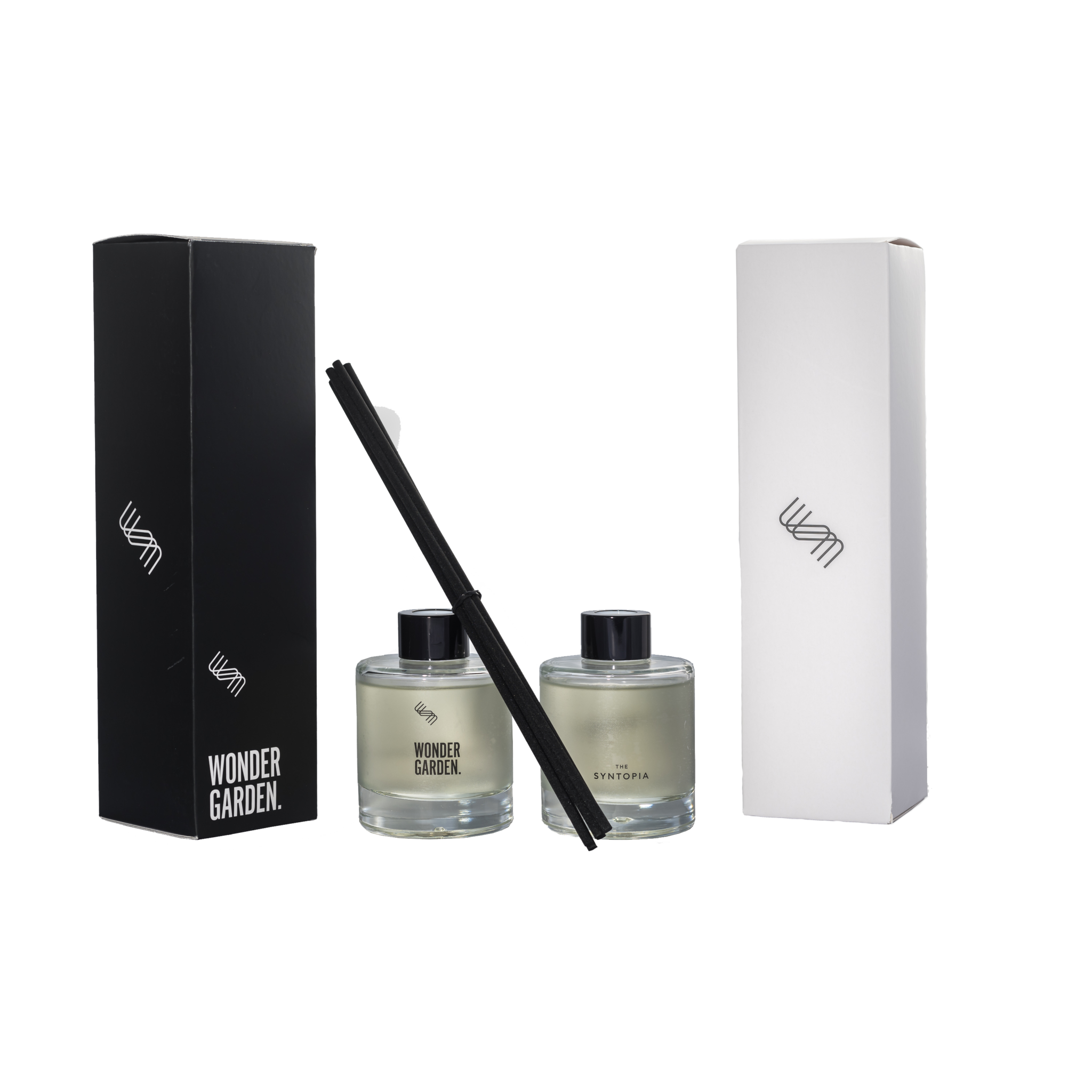 scentlinq_231006-1021